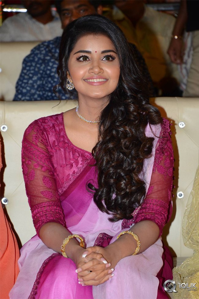 Krishnarjuna-Yuddham-Pre-Release-Function